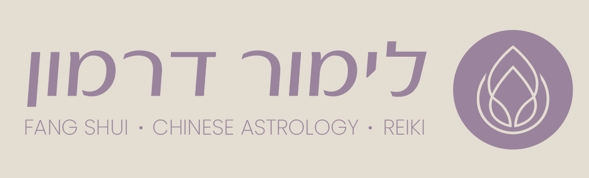 צילום מסך - תצוגת אתר לימור דרמון