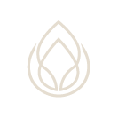 לימור דרמון - עיצוב אתר